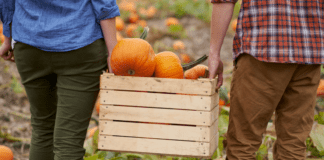 A Guide to Apple & Pumpkin Picking in and Around Westchester County A couple carrying a box of pumpkins.