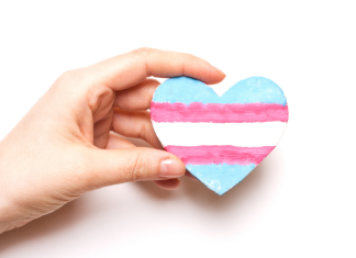 A hand holding a transgender heart.