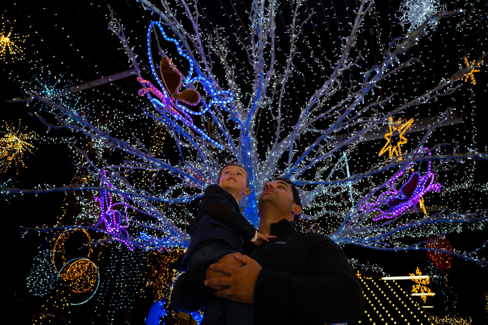 Christmas lights