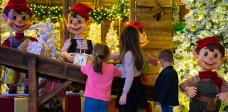Don’t Miss this Dazzling Christmas Experience for the Whole Family https://tinyurl.com/santas-village?utm_source=Westchester+County+Mom&utm_medium=Newsletter&utm_campaign=November+22&utm_id=American+Christmas