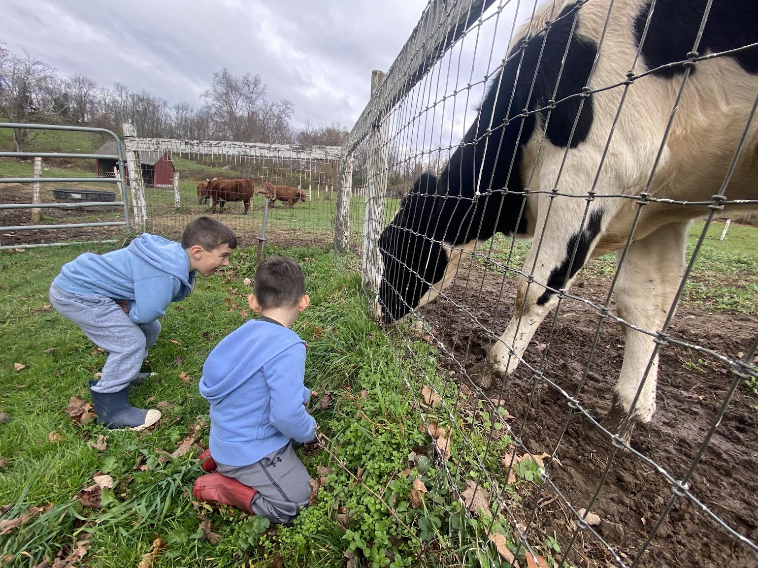 farm