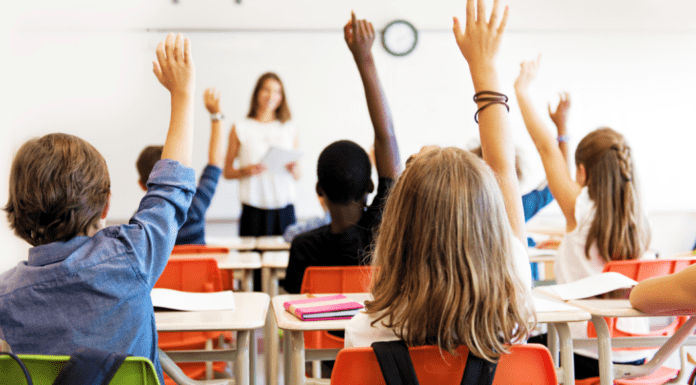 A Guide to Childcare & Educational Resources in Westchester County Students raising their hands in class.