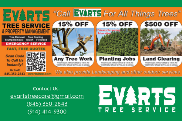 Evarts Tree Service