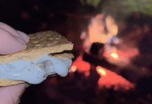 Holding a S'mores by the campfire.