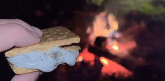 Let’s Celebrate National S’mores Day Holding a S'mores by the campfire.