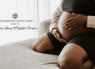 A Guide to Pregnancy, Infancy, & Postpartum Resources in Westchester County A pregnant woman holding her belly for the pregnancy, infancy, and postpartum guide.