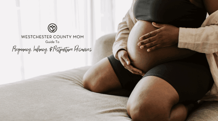 A pregnant woman holding her belly for the pregnancy, infancy, and postpartum guide.