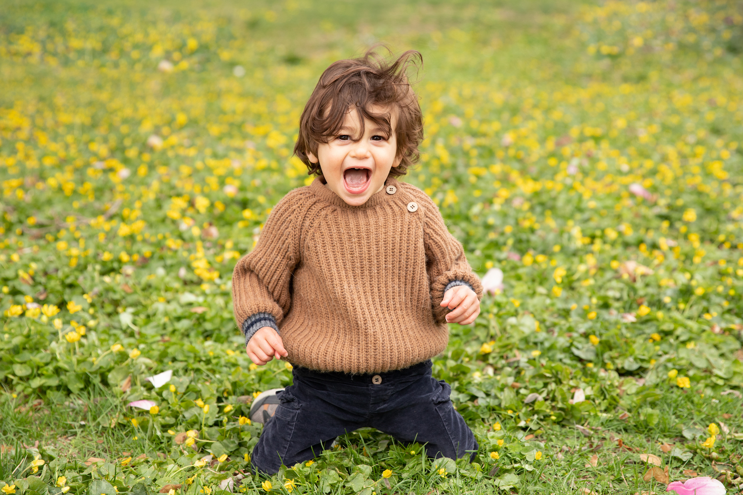 A boy kneeling in a field of flowers.