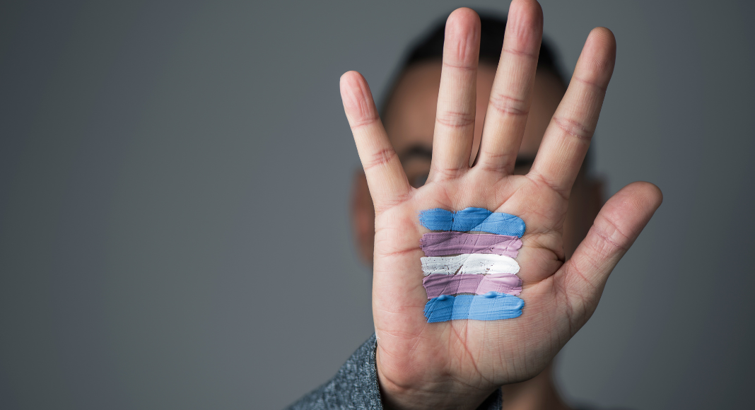 A hand painted with transgender stripes.