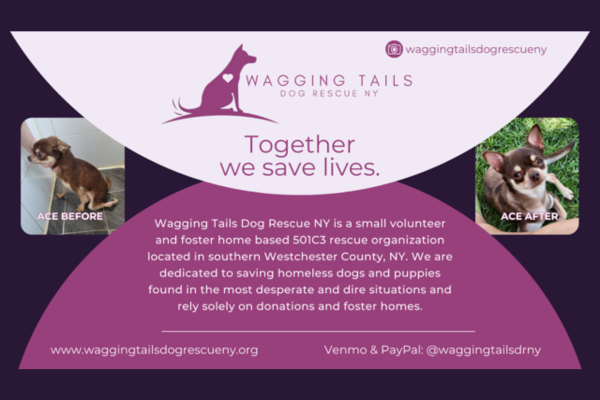 Wagging Tails Dog Rescue NY
