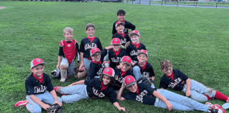 Why I Love Being a Baseball Mom