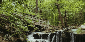 Family-Friendly Hikes Near Westchester :: The Catskills Part II Hiking in the Catskills.