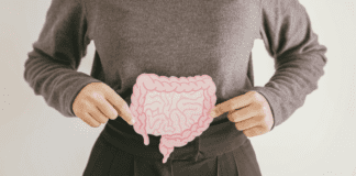 Why Gut Health Is Important Gut health.