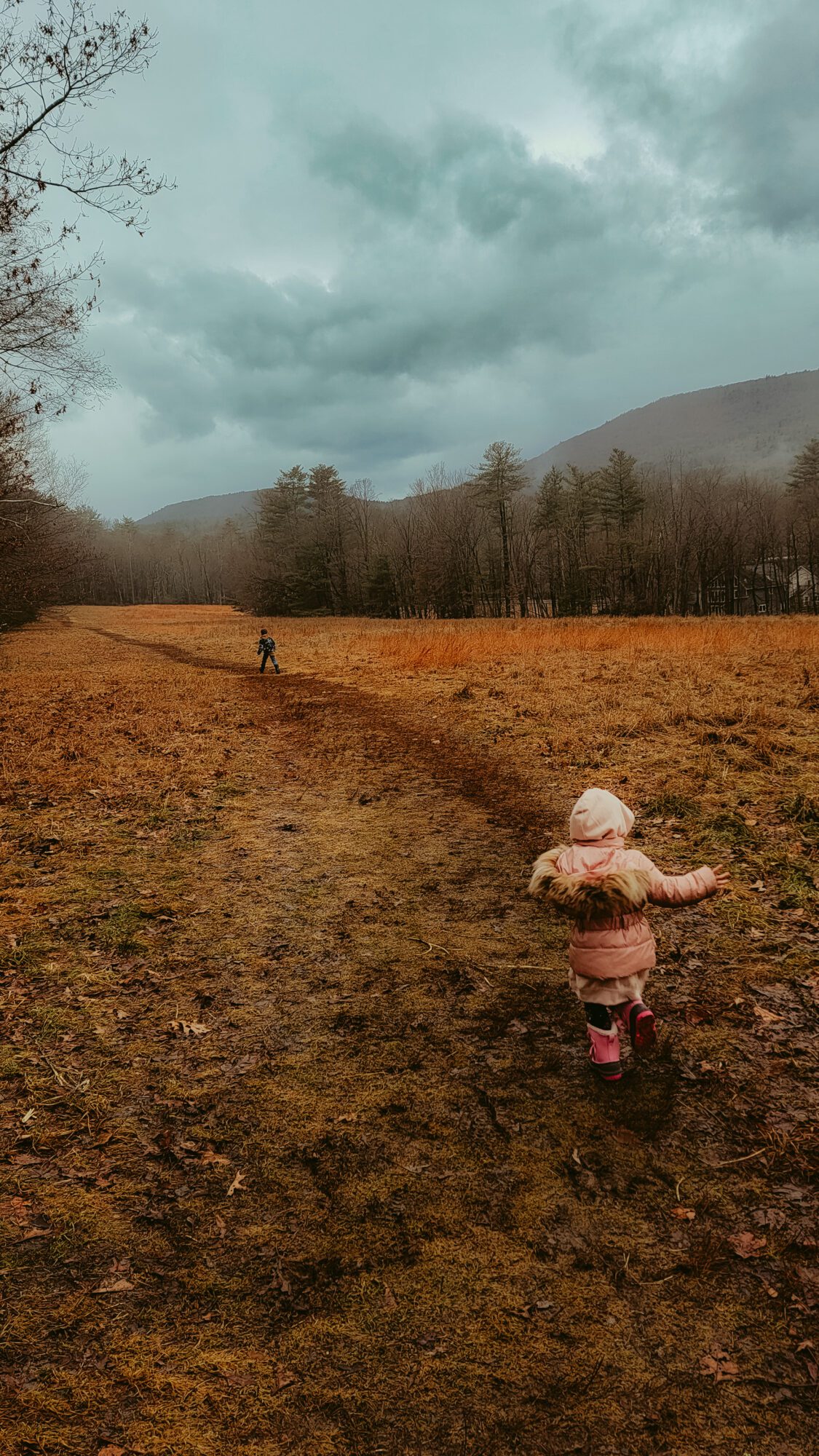 Two children run through a muddy field under a cloudy sky. Mountains and woods are visible on the right side.
