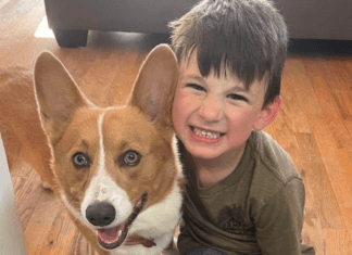 Never Satisfied A boy and his dog.