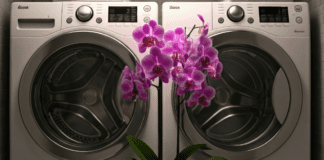 Parenting an Orchid An orchid blooming in a laundry room.