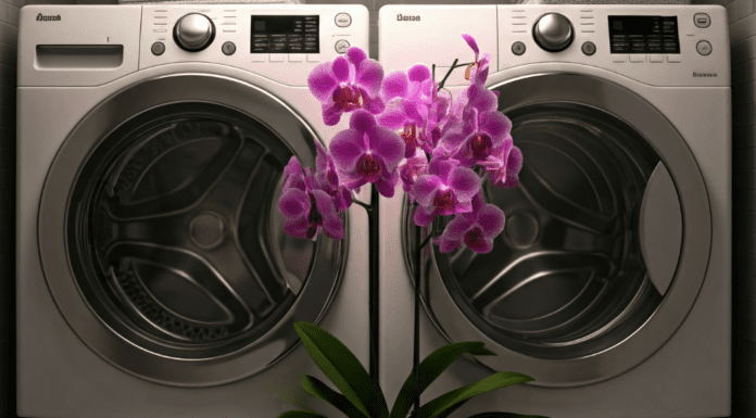 An orchid blooming in a laundry room.