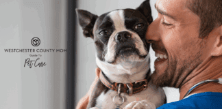 A Guide to Pet Care in Westchester County Pet Care
