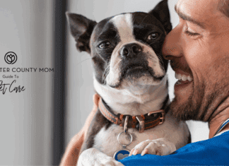 A Guide to Pet Care in Westchester County Pet Care