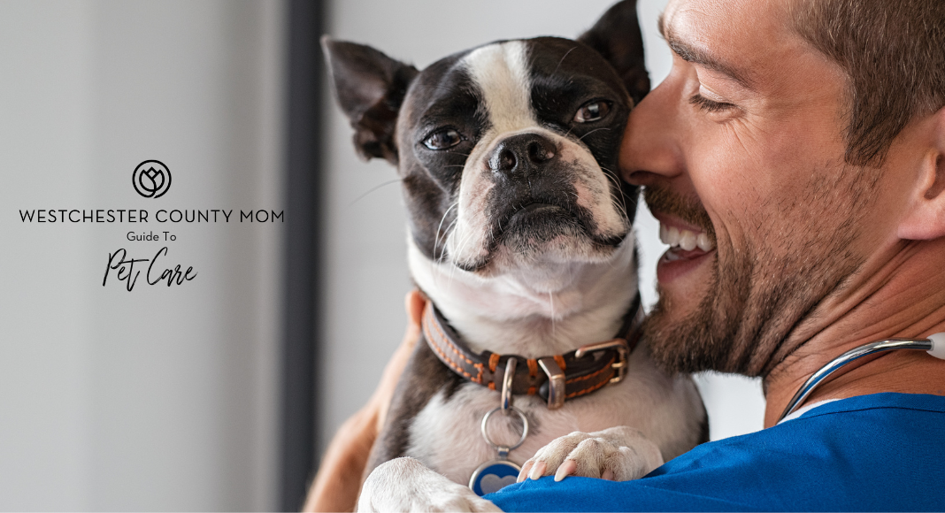 GUIDE featured image (1) Pet Care