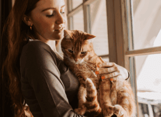 Grief is the Price We Pay for Love A woman holding a cat.