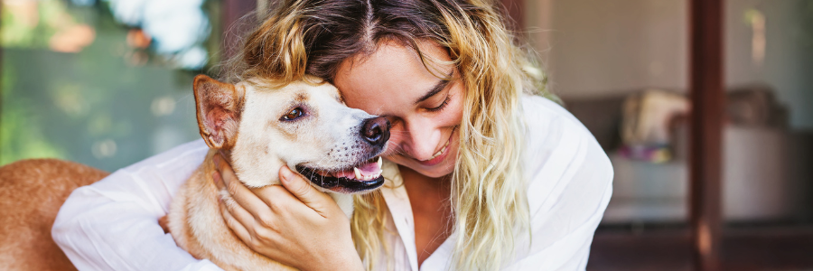 pet care resources