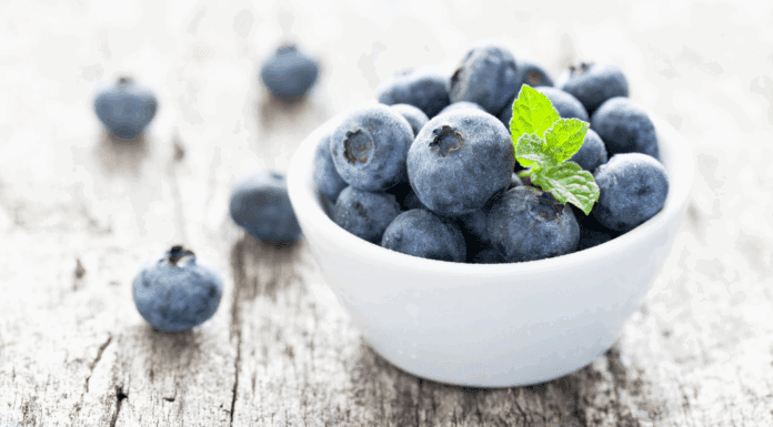 Blueberry Bliss: Why This Little Fruit Deserves a Big Summer Moment Blueberries in a white bowl.