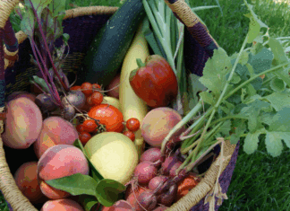Seasonal Produce & Easy Recipes for Summer A basket of summer produce.