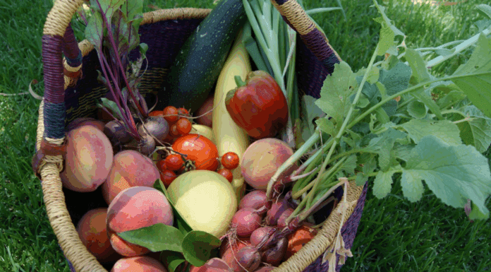Seasonal Produce & Easy Recipes for Summer A basket of summer produce.