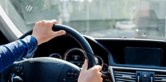 Driving Towards New Beginnings: Meet Serena Holding a steering wheel.