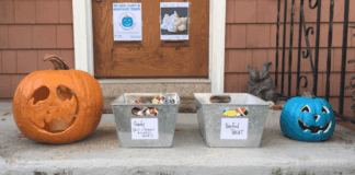 Food Allergies and the Teal Pumpkin Project This Halloween A teal pumpkin on a front porch signaling that there is non-candy items for Halloween.