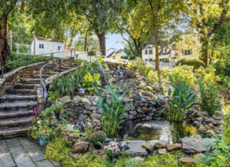 A backyard pond.