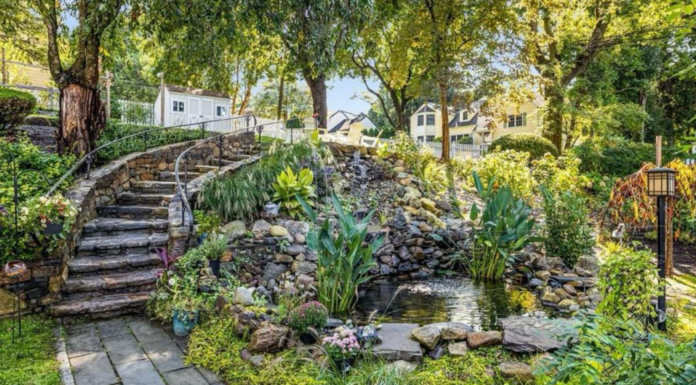 A backyard pond.