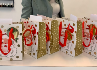 A Professional Shopper’s Guide to Practical Gifting A row of gift bags.