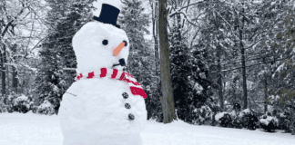 A snowman in winter.