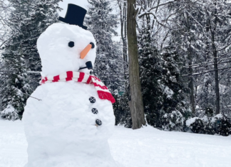A snowman in winter.