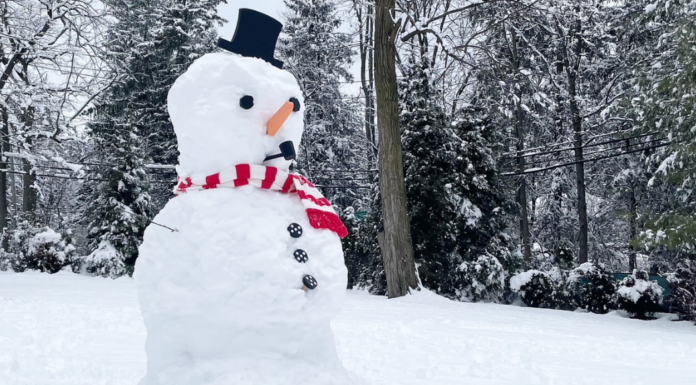 Cold Weather Comforts A snowman in winter.