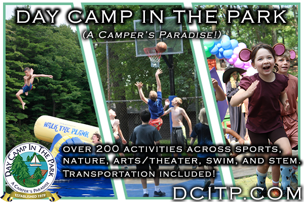 Day Camp in the Park