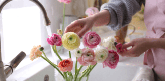 Adding water to fresh flowers.