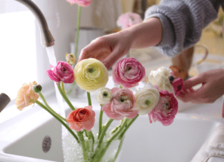 The Doorway Into Spring Adding water to fresh flowers.