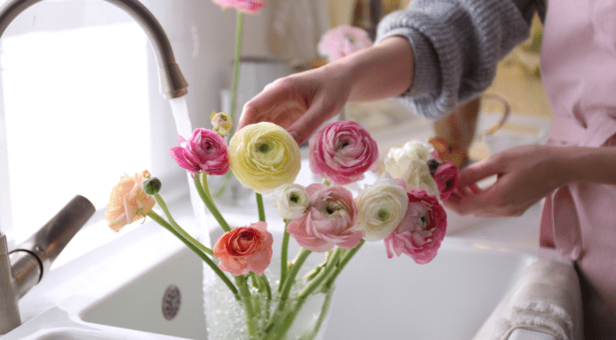 The Doorway Into Spring Adding water to fresh flowers.
