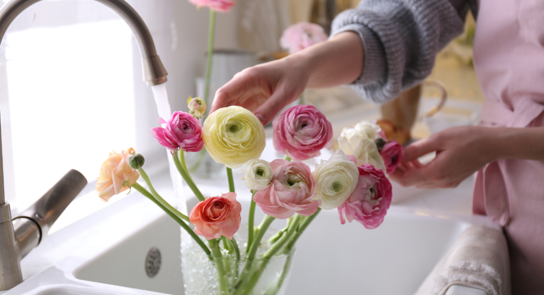 Adding water to fresh flowers.