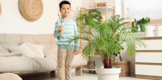 A boy standing next to a large indoor plant.