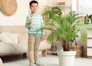 A boy standing next to a large indoor plant.