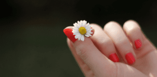 Spring Brings New Beginnings: Meet Jess A hand holding a small flower.
