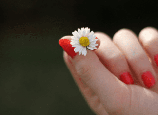 A hand holding a small flower.