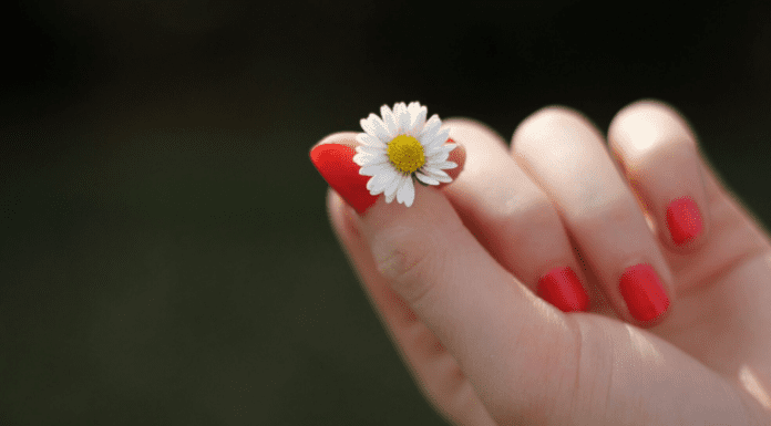 Spring Brings New Beginnings: Meet Jess A hand holding a small flower.