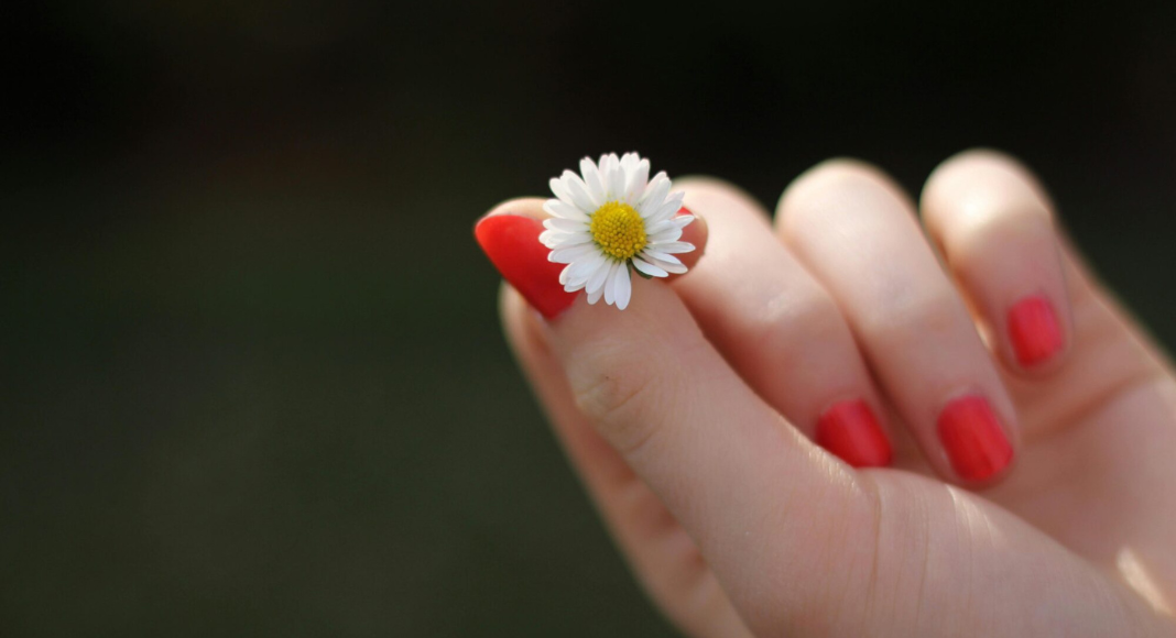 A hand holding a small flower.