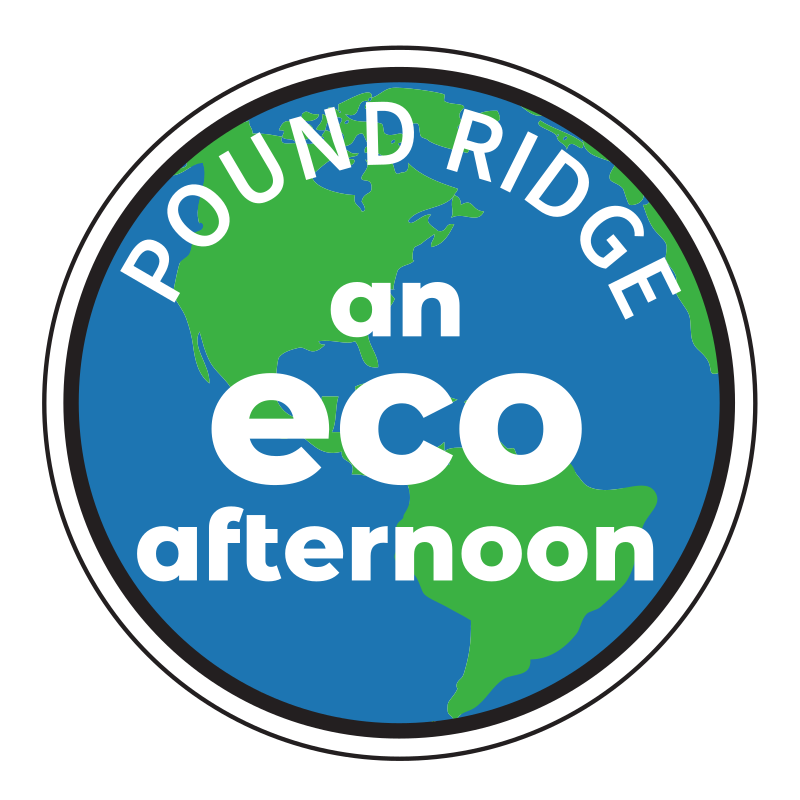 An Eco Afternoon