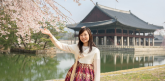 A Week in Seoul (Travel Tips to Limit the K-Drama) A woman reaching out to touch a cherry blossom.